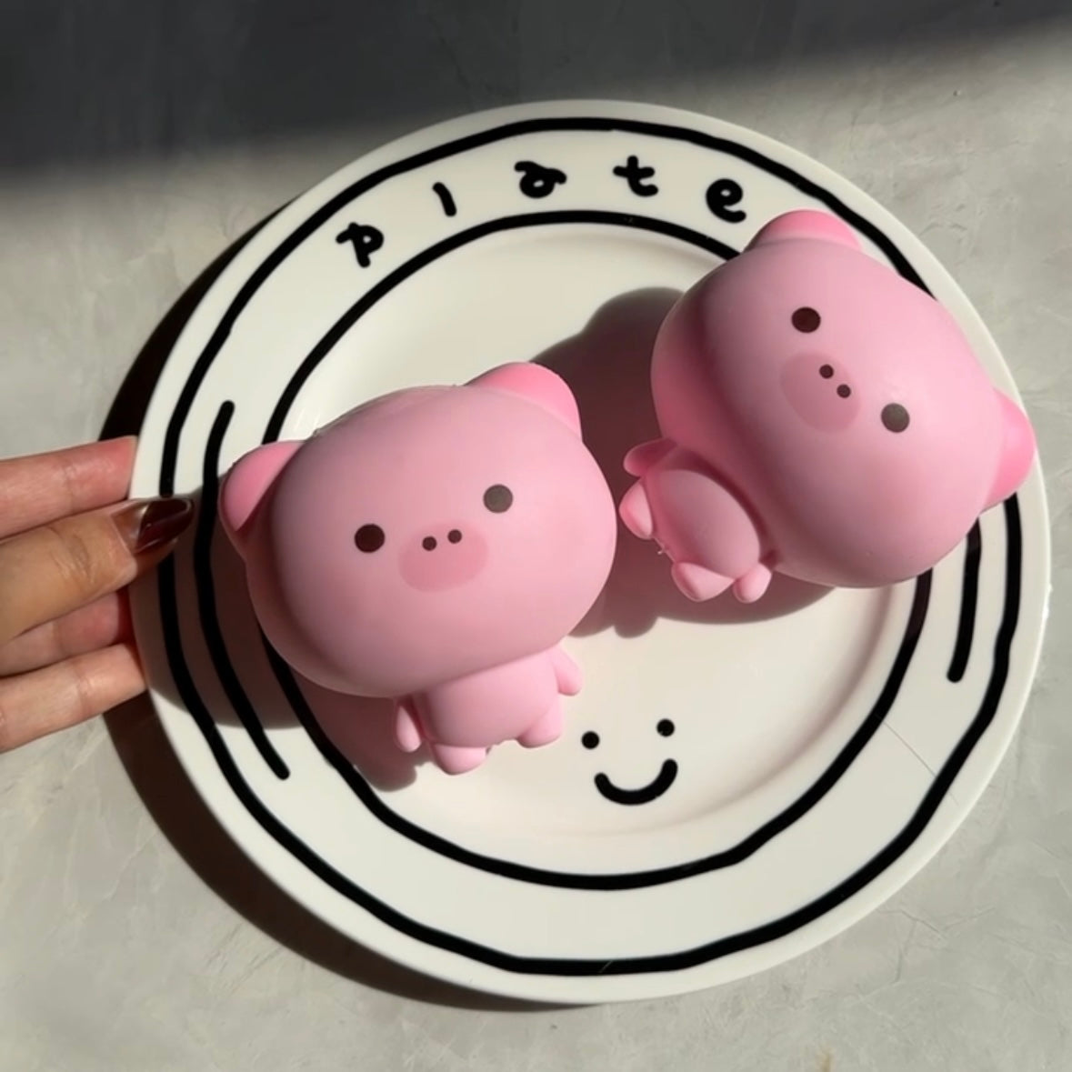 Piggy Crunchy Squishy